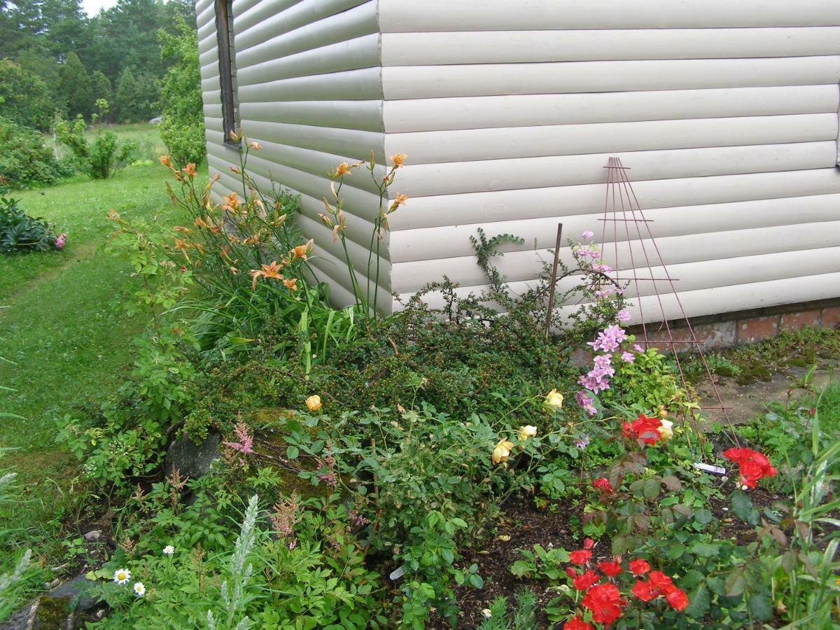 Kipi-Koovi Holiday Centre Exterior photo